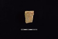 藏品(陶片)的圖片